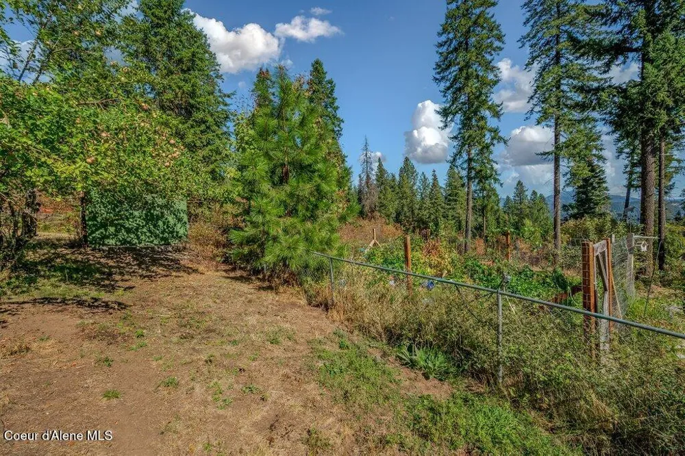 11413 Summit Loop Hauser, ID 83854