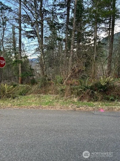 0 SE 166th Street North Bend, WA 98045