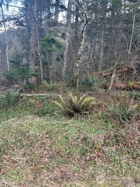 0 SE 166th Street North Bend, WA 98045