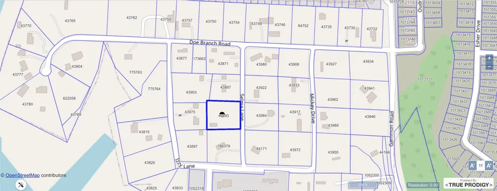 Selma Drive Little Elm, TX 75068