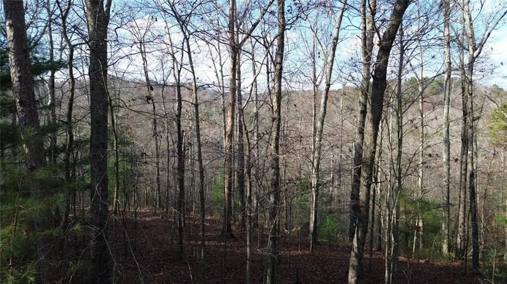 865 Bolster Lane Ranger, GA 30734