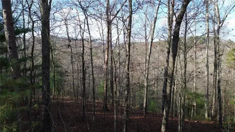 865 Bolster Lane