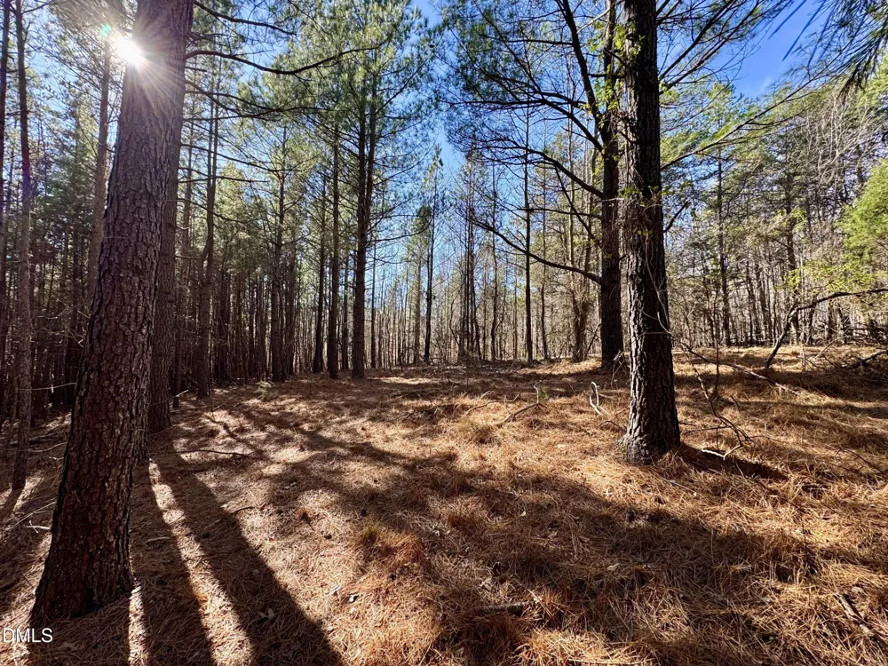 11901 Nc Highway 86 S Prospect Hill, NC 27314