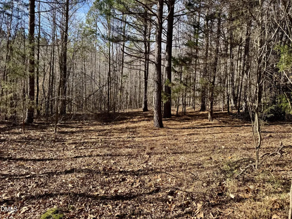 11901 Nc Highway 86 S Prospect Hill, NC 27314