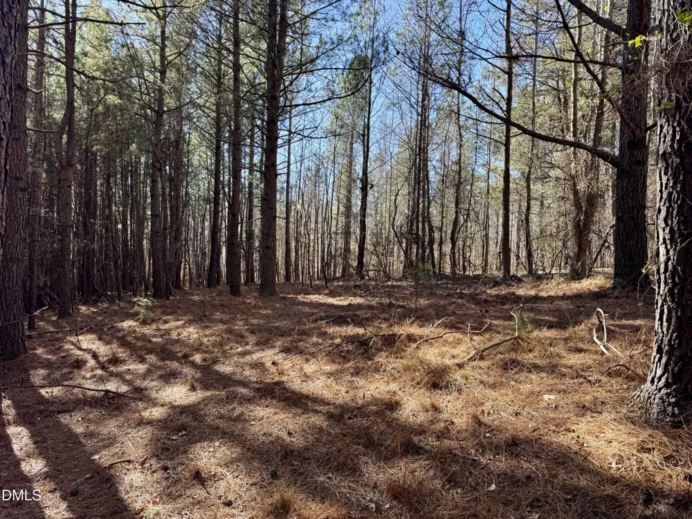 11901 Nc Highway 86 S Prospect Hill, NC 27314