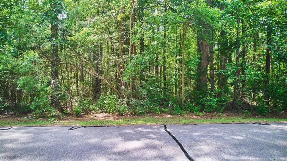 16 Lakeshore Wagram, NC 28396