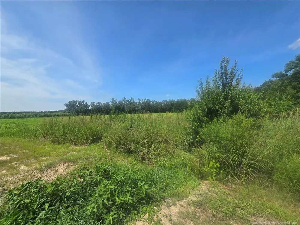 0 Everett Road Parkton, NC 28371