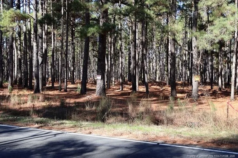 Stuarts Mill Road Fairmont, NC 28340