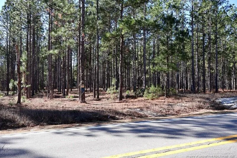 NC Hwy 130 Highway Fairmont, NC 28340