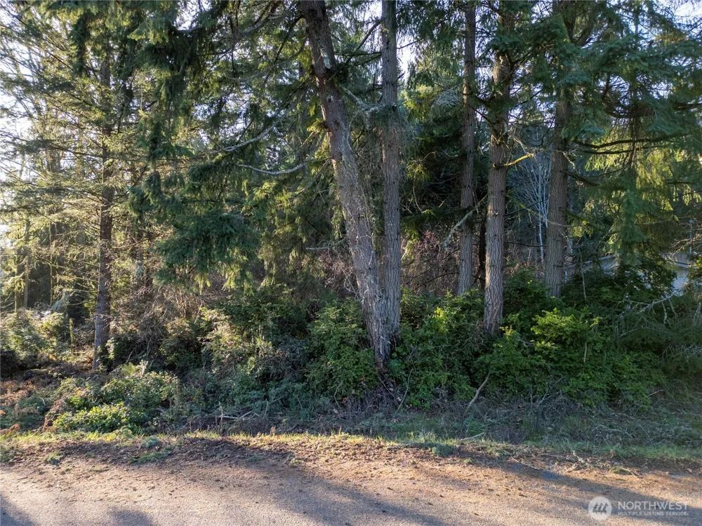 10916 Seaview Drive Anderson Island, WA 98303