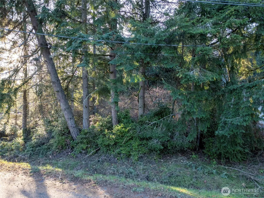 10916 Seaview Drive Anderson Island, WA 98303