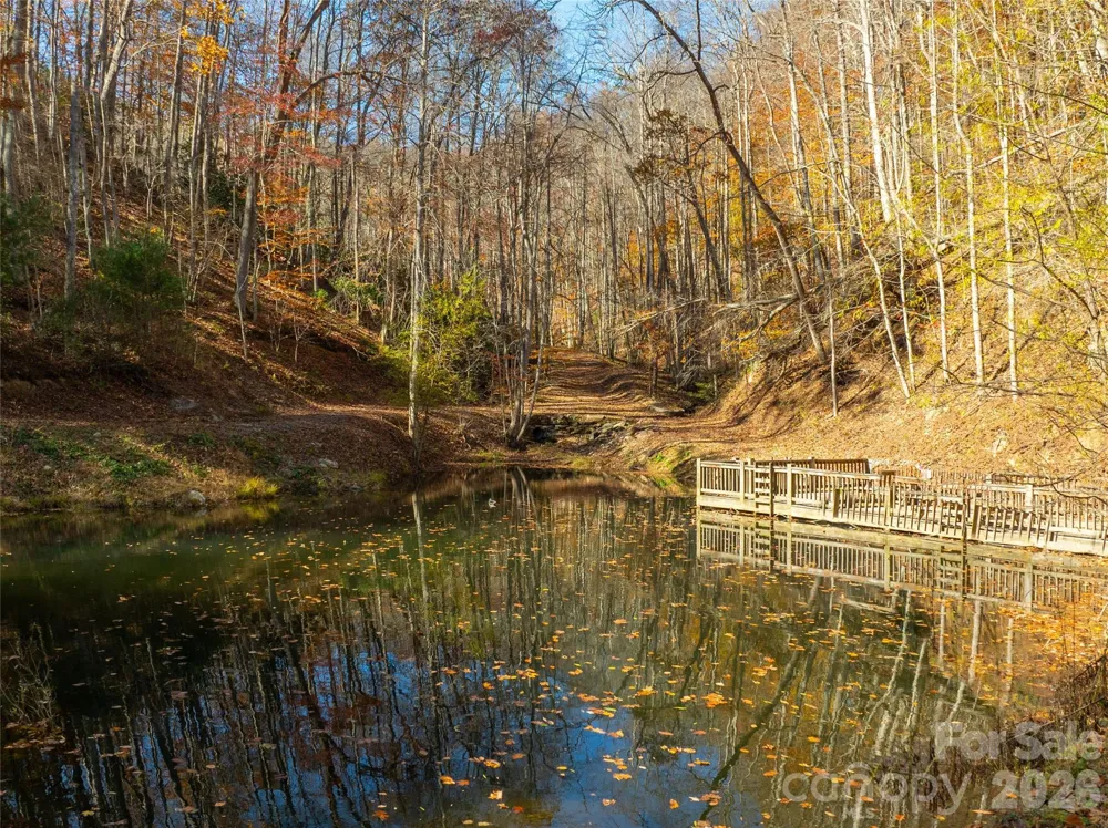 2736 White Oak Flats Road Green Mountain, NC 28740