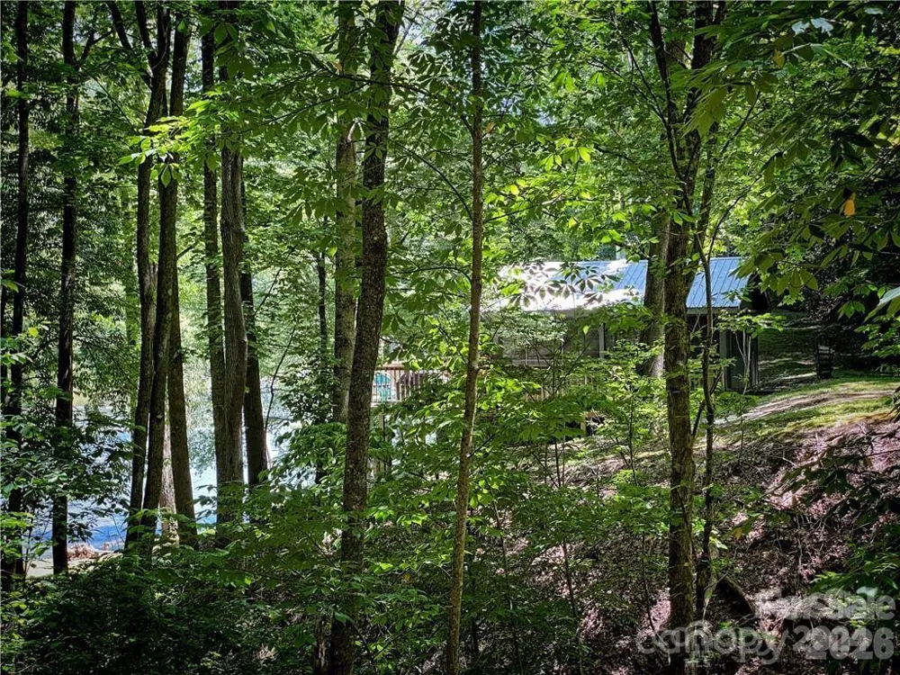 2736 White Oak Flats Road Green Mountain, NC 28740