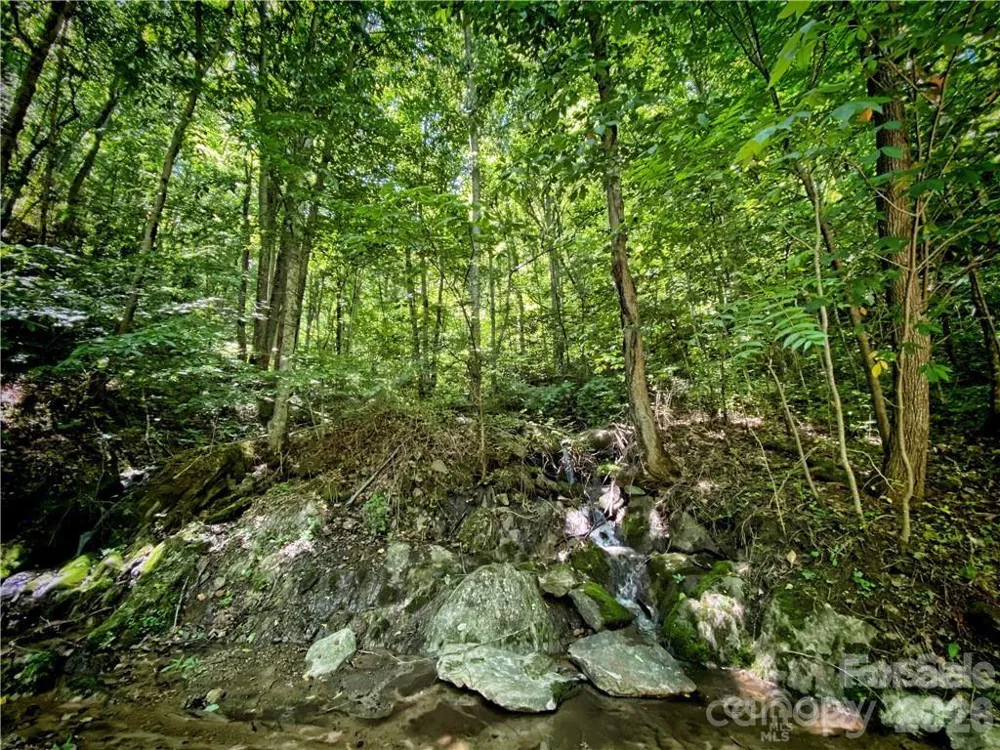 2736 White Oak Flats Road Green Mountain, NC 28740