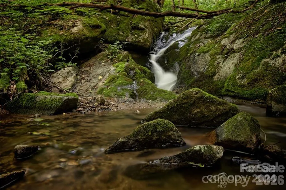 2736 White Oak Flats Road Green Mountain, NC 28740