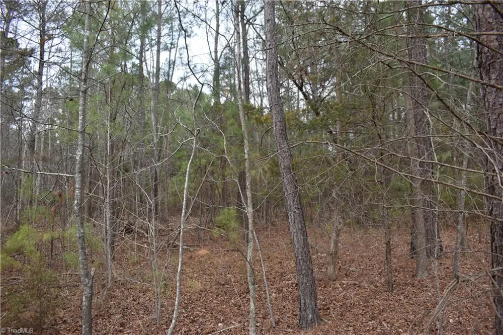 257 Piney Grove Church Road Siler City, NC 27344