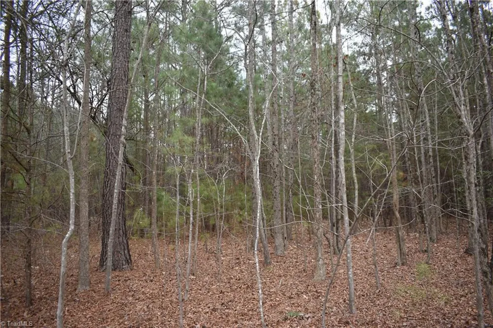 257 Piney Grove Church Road Siler City, NC 27344