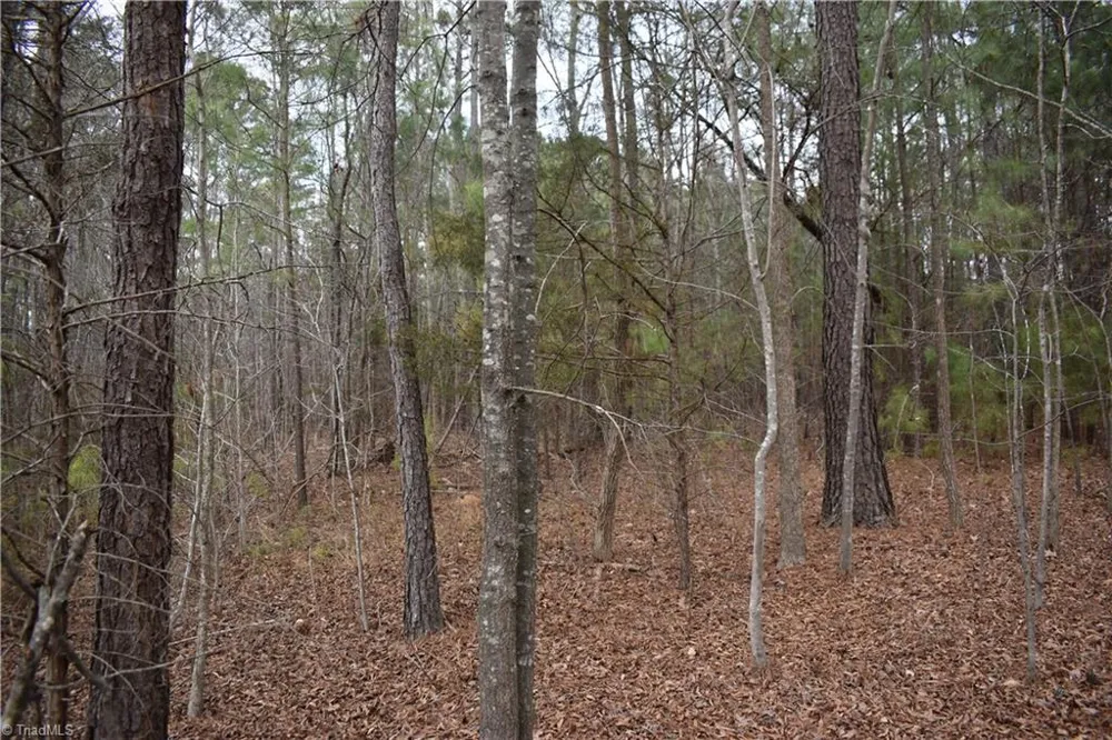 257 Piney Grove Church Road Siler City, NC 27344