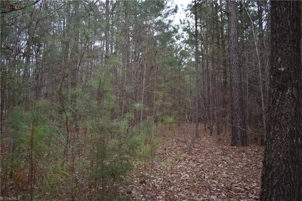 257 Piney Grove Church Road Siler City, NC 27344