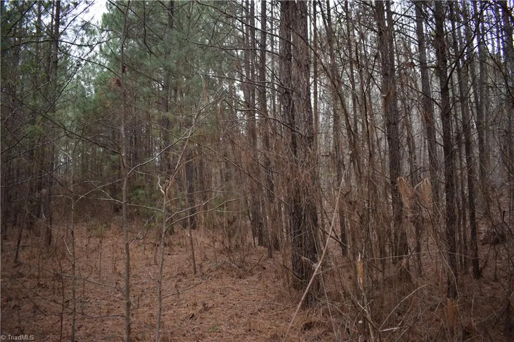 257 Piney Grove Church Road Siler City, NC 27344