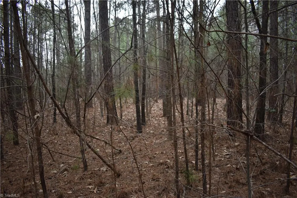 257 Piney Grove Church Road Siler City, NC 27344