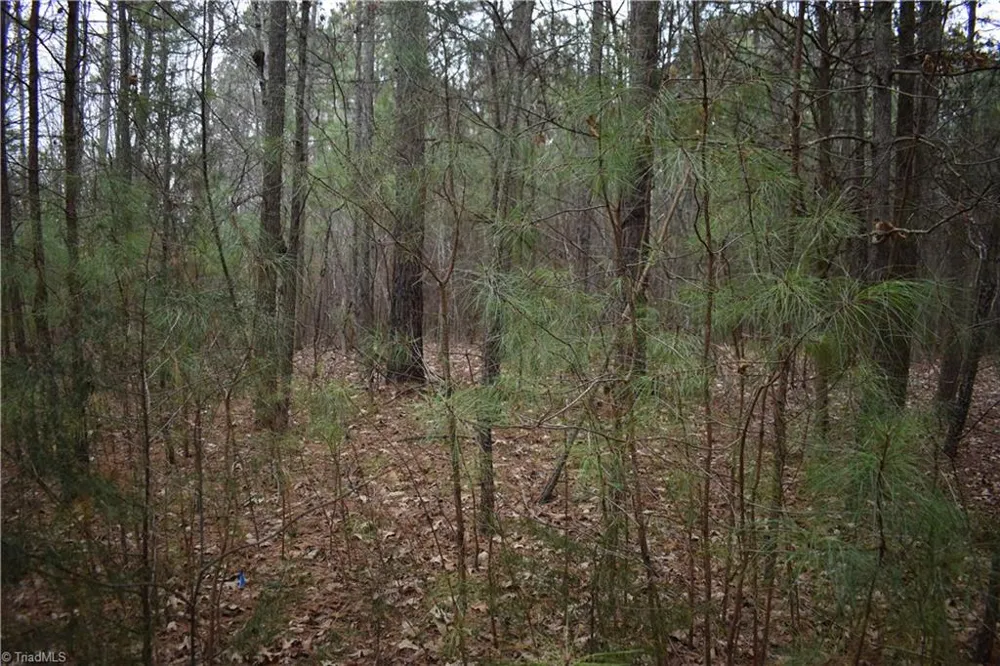 257 Piney Grove Church Road Siler City, NC 27344
