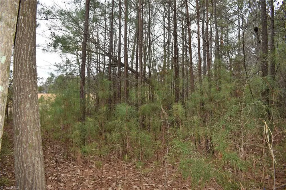 257 Piney Grove Church Road Siler City, NC 27344