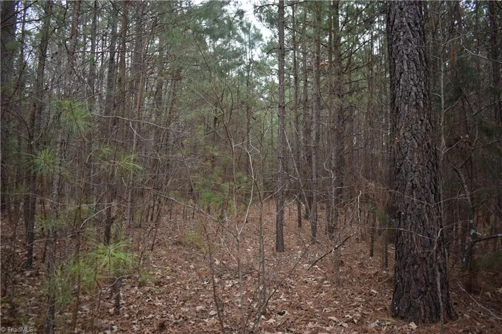 257 Piney Grove Church Road Siler City, NC 27344