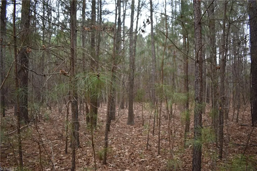 257 Piney Grove Church Road Siler City, NC 27344