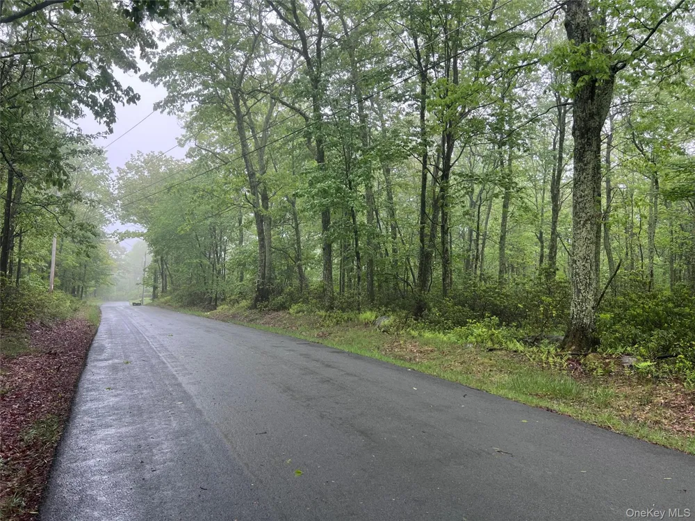 Budd Road Wurtsboro, NY 12790