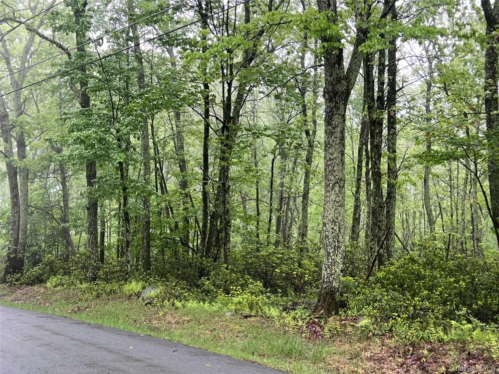 Budd Road Wurtsboro, NY 12790