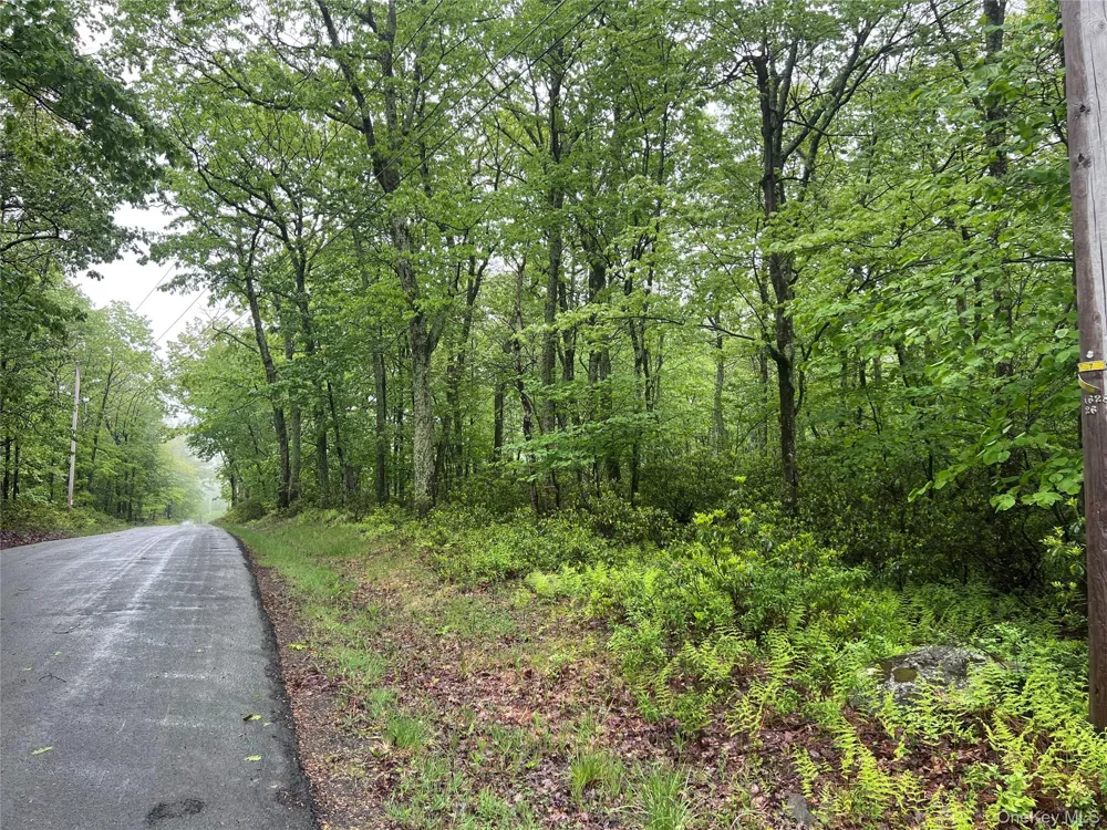 Budd Road Wurtsboro, NY 12790