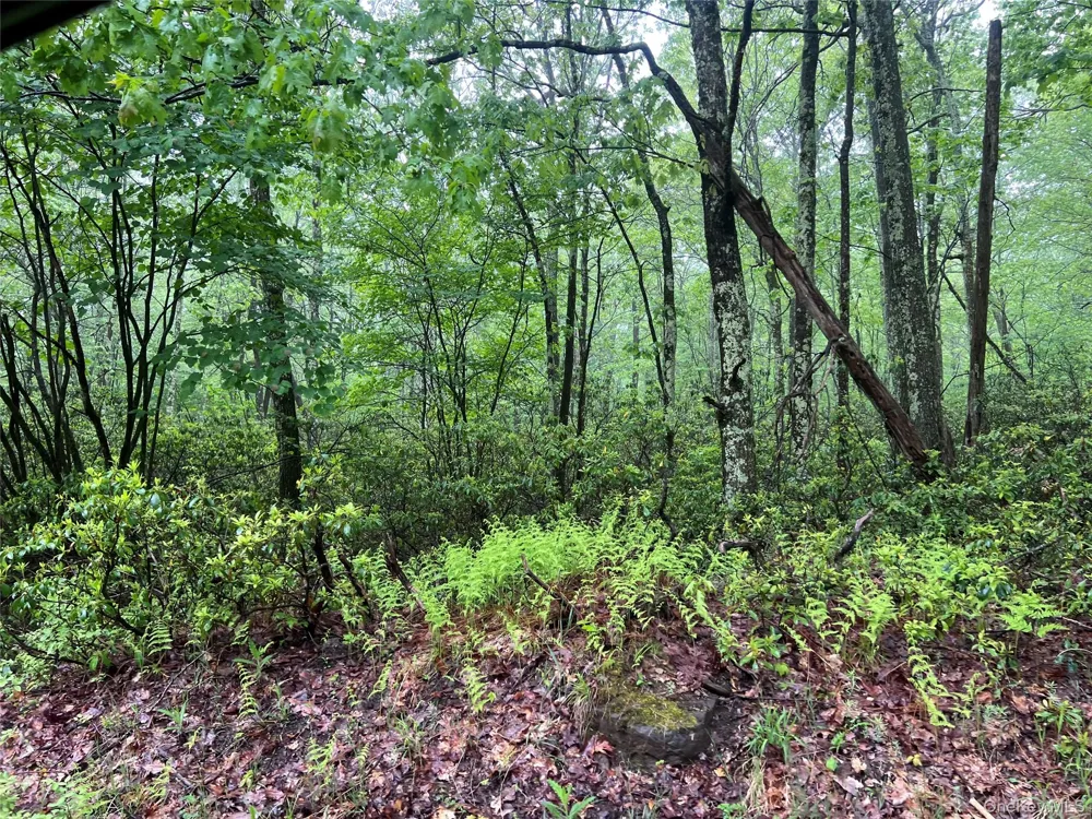 Budd Road Wurtsboro, NY 12790