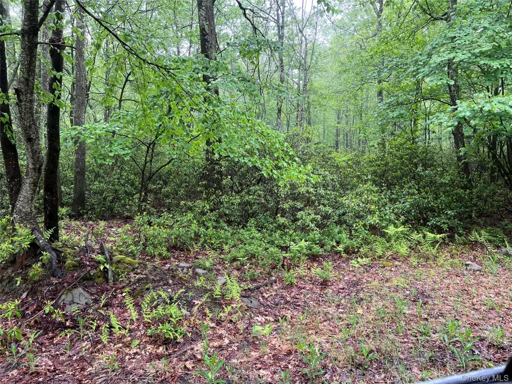 Budd Road Wurtsboro, NY 12790
