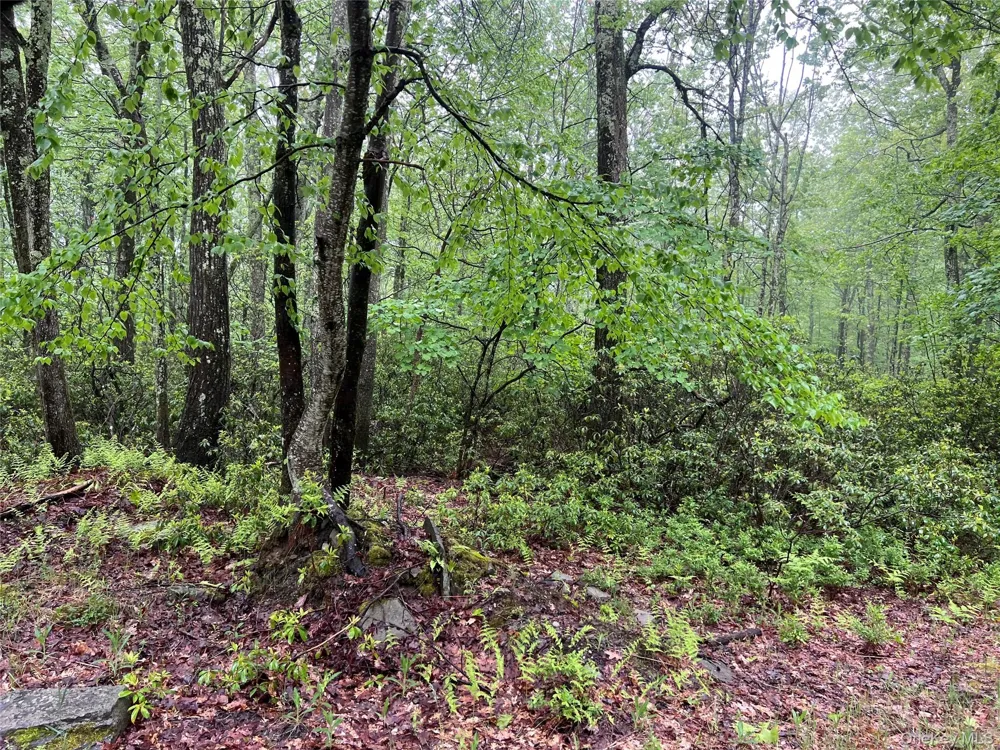 Budd Road Wurtsboro, NY 12790