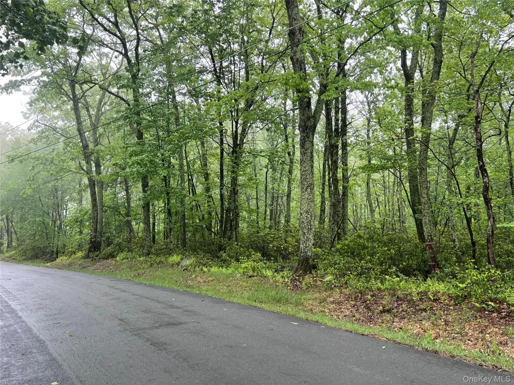 Budd Road Wurtsboro, NY 12790