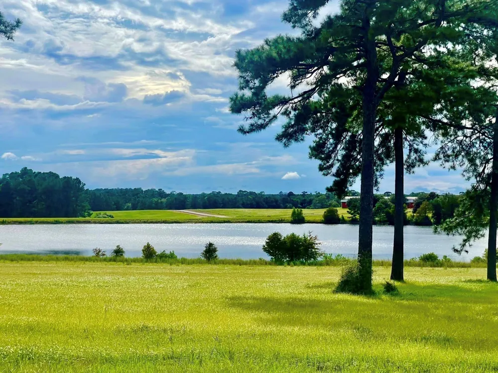 25 E Lakeland Court Hillister, TX 77624