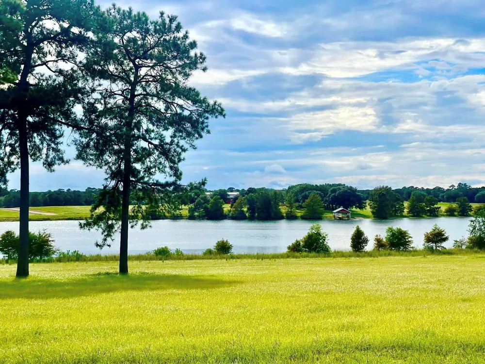 26 E Lakeland Court Hillister, TX 77624