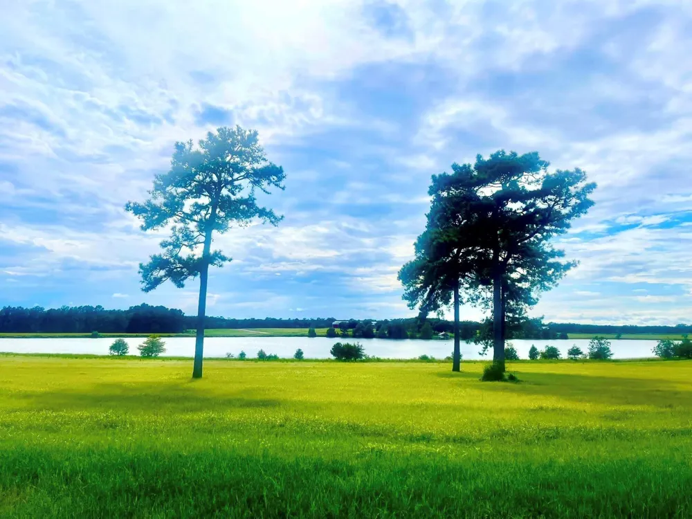 26 E Lakeland Court Hillister, TX 77624