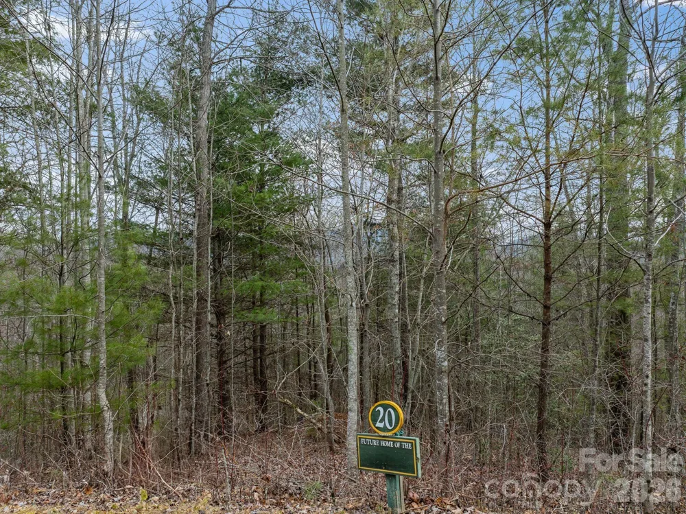 400 Pine Cone Trail #20 Marshall, NC 28753