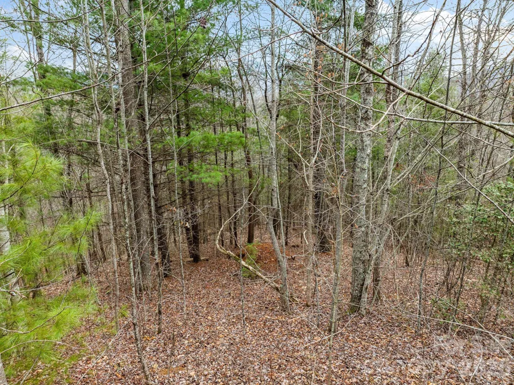 400 Pine Cone Trail #20 Marshall, NC 28753