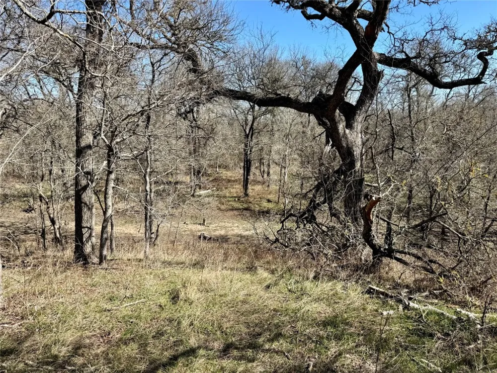 County Road 418A Road Bartlett, TX 76511