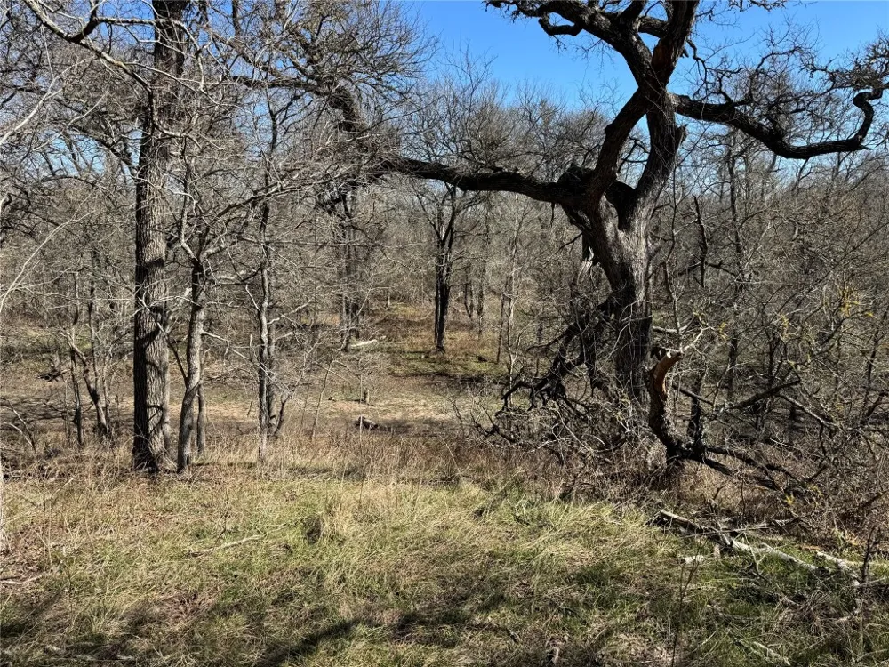 County Road 418A Road Bartlett, TX 76511