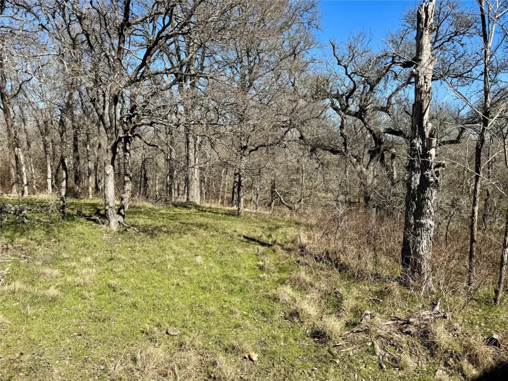 County Road 418A Road Bartlett, TX 76511