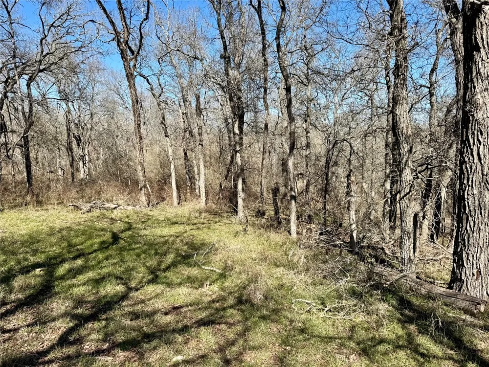 County Road 418A Road Bartlett, TX 76511