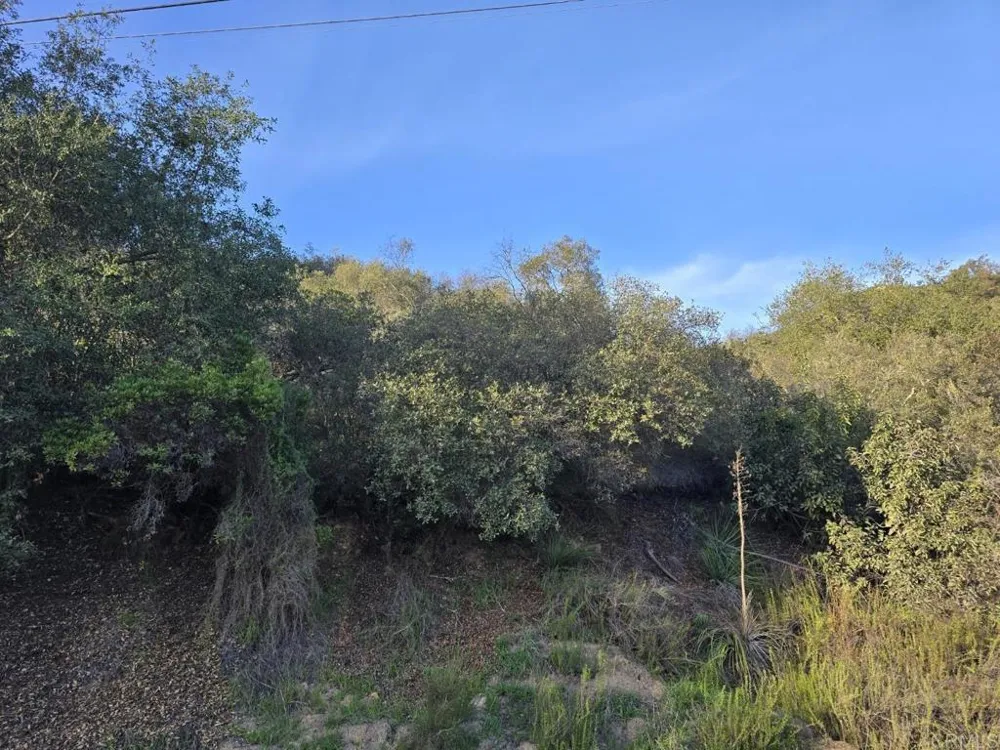Rockhouse Road Ramona, CA 92065
