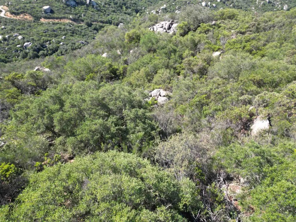 Rockhouse Road Ramona, CA 92065