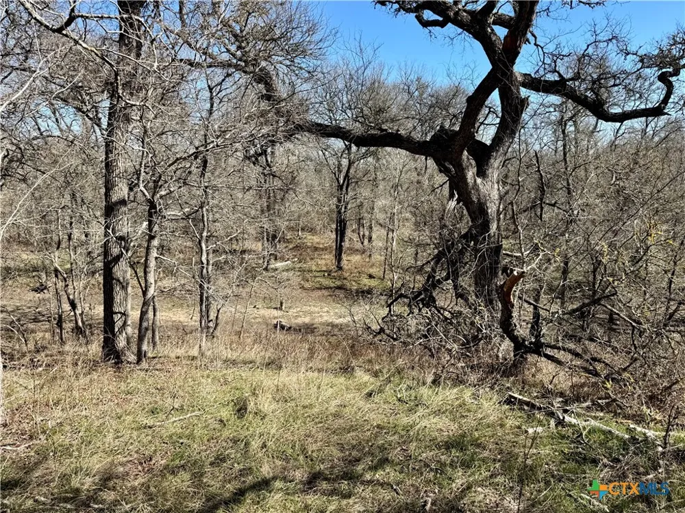 County Rd 418A Bartlett, TX 76511
