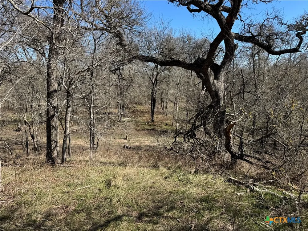 County Rd 418A Bartlett, TX 76511