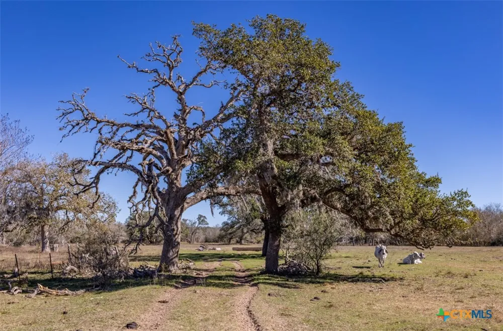 County Road 284 Edna, TX 77957